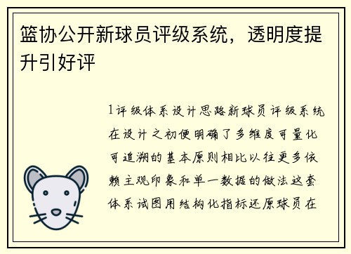 篮协公开新球员评级系统，透明度提升引好评